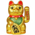 Chat Chinois Chat Chinois Classique