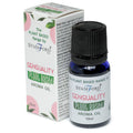 Huiles Aromatiques végétales pour diffuseur  - Sensualité 10ml