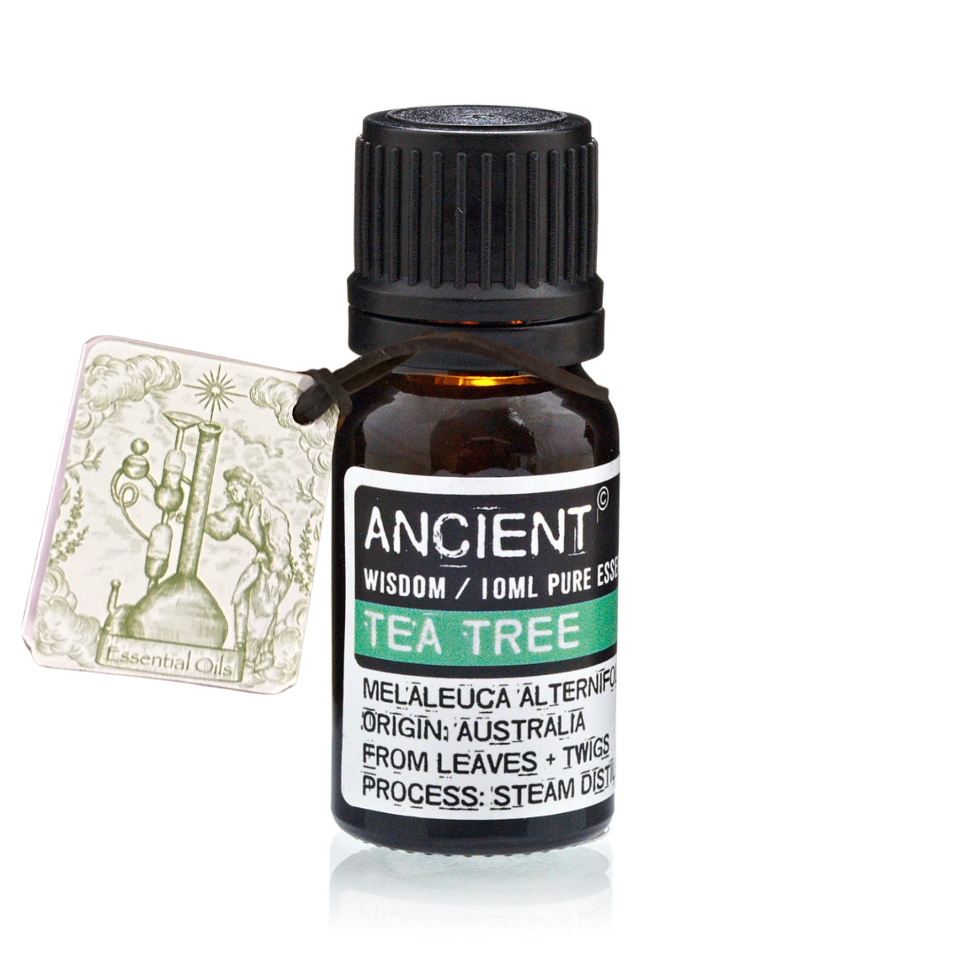 Huile Essentielle 10ml - Arbre à Thé
